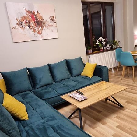 City Inn Premium Apartment Temešvár Exteriér fotografie