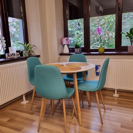 City Inn Premium Apartment Temešvár Exteriér fotografie